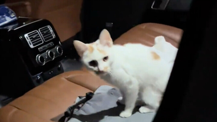 Mi, lagi ngapain? Kemari, duduk di kursi penumpang depan sama aku.