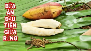 THỬ THÁCH SINH TỒN | Tập 2 | MỘT MÌNH TÌM KIẾM NGUỒN THỨC ĂN GIỮA RỪNG XANH | HIEU TV