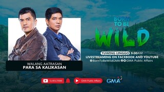 Born to be Wild (June 02, 2024) | LIVESTREAM