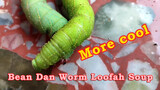 [Food][DIY]My secret recipe: Doudan worm towel gourd soup