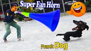 Super Fan Horn Prank Dog Very Funny Video 2021