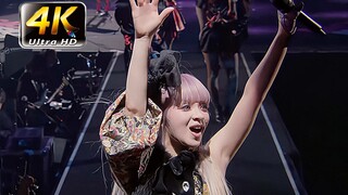 [4K Collection] GARNiDELiA "Pure Land" ไลฟ์คลาสสิก! ผู้กำกับตำแหน่งเก่า!