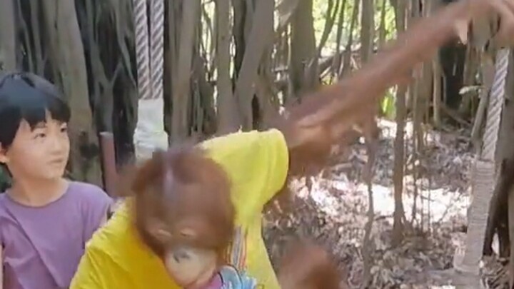 โอเคๆๆ งั้นให้เพื่อนฉันไปเรียนท่าโพสถ่ายรูปกับมันเลย!