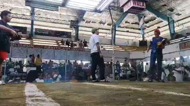 pumpkin hatch. cavite coliseum