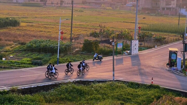 “How Should I Describe the Story’s Ending~?”