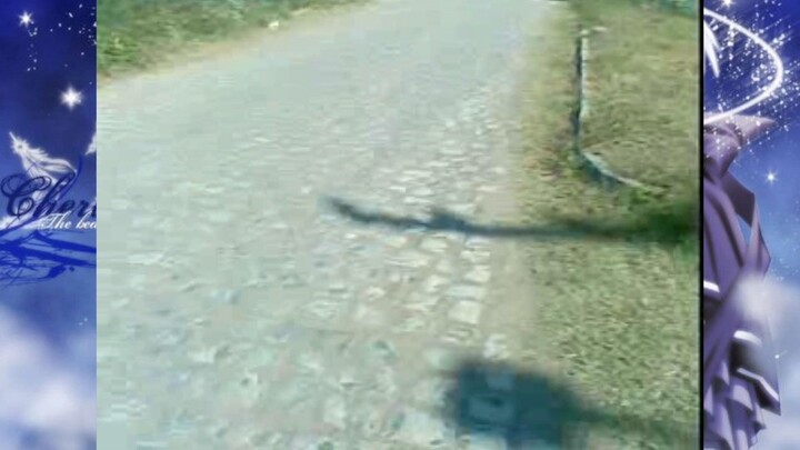 私が自分の街の通りを歩いている🇧🇷