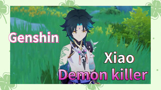 Xiao Demon killer