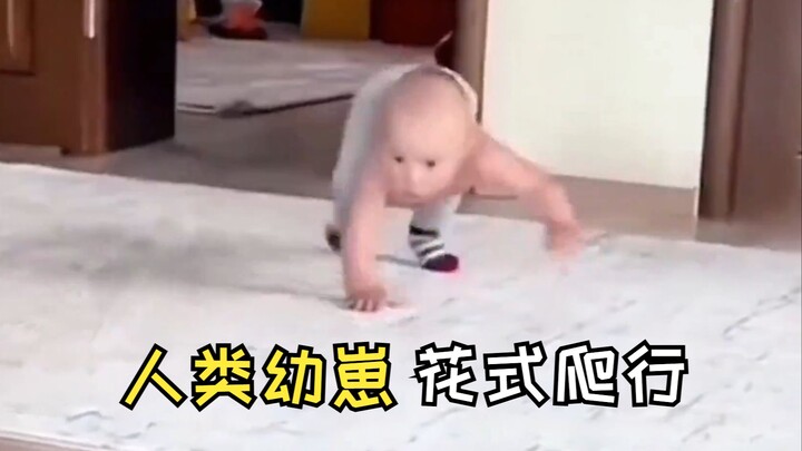 “A Roundup of Human Babies’ Creative Crawling Styles”