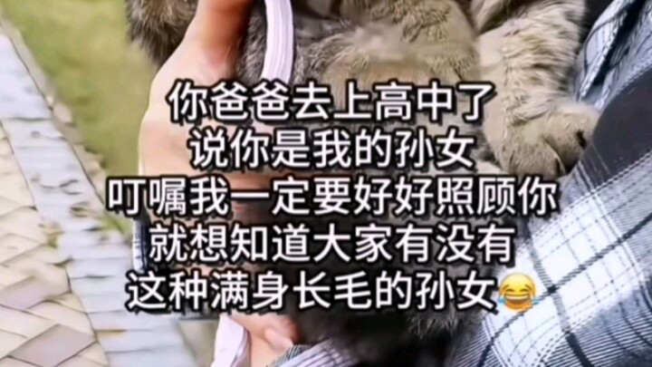 Dying of laughter in the comments!