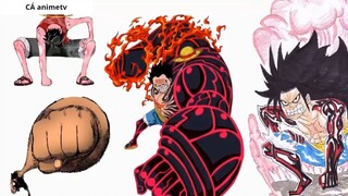 Tất Tần Tật về Thức Tỉnh trái ác quỷ trong One Piece __ Giả Thuyết __  3