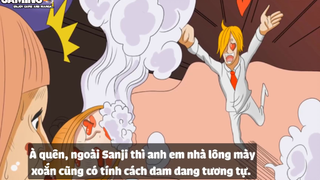 Top 5 Thanh Niên Dê Cụ Nhất trong One Piece p3