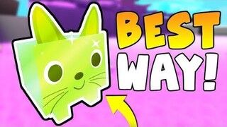 [HOW] To Create Pets in Pets Simulator [Part 1]