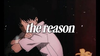 The Reason