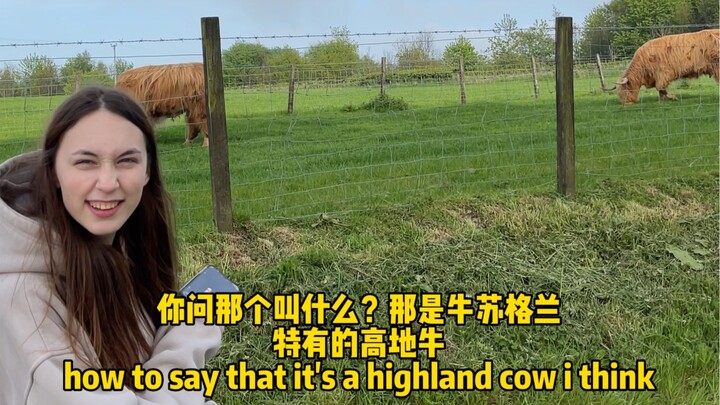 Are animal sounds really this different between China and other countries?