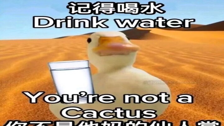 “Kalau kamu ketawa, kamu harus segera minum segelas air—MeMes” #903