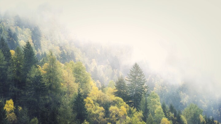 73AE81ED575ACC9B45A532E13D168889313C5D02