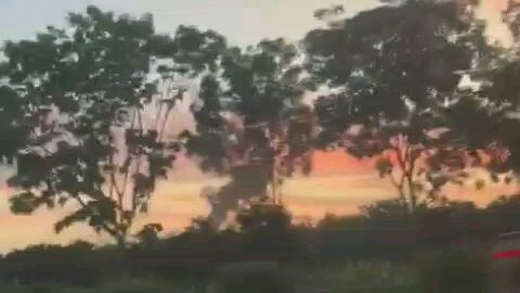 tell me if this video make you guys feels better