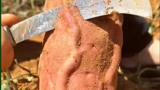 什么工作竟如此解压？！
