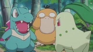 "The noisy friendship of the three great families of Johto"