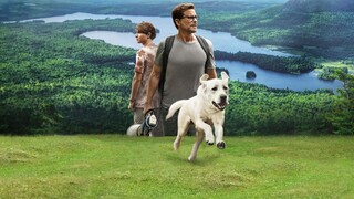 PERRO PERDIDO (2023) LATINO