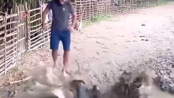 funny video