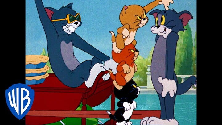 RETRO CARTOONS Hannah-Barbera Top Cat - Bilibili RETRO CARTOONS Hannah-Barbera Top Cat - Bilibili