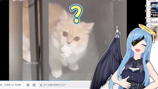 日本清楚天使看《猫：糟糕，上当了》