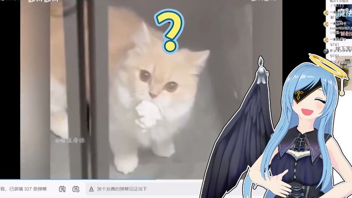 日本清楚天使看《猫：糟糕，上当了》