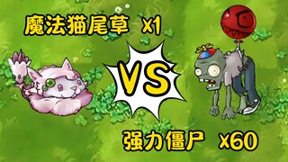 碾压一切究极植物？！魔法猫尾草的上限在哪？