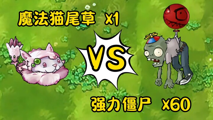 碾压一切究极植物？！魔法猫尾草的上限在哪？