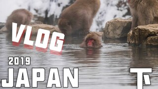 在这里你可以看到猴子泡温泉！ 2019日本VLOG(下）