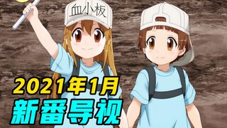 阵容炸裂，霸权云集，史上最强！2021年1月新番导视！