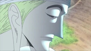 Anomali One Piece