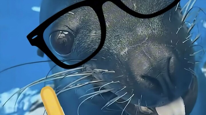 Profil Tokoh Internet Episode 42: Singa Laut