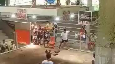 second fight kelso bulik win