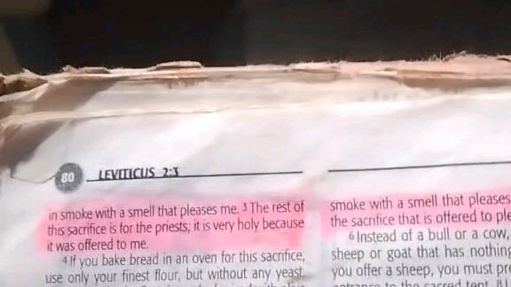 Daily Verse.        Leviticus 2:1-3