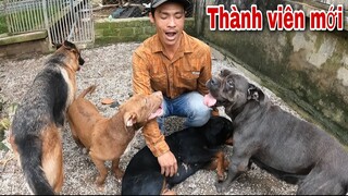 Thành Viên Mới ChiCo Về Với Gia Đình Săn Bắt Ẩm Thực Vùng Cao