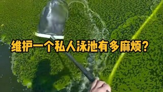 维护一个私人泳池有多麻烦？ #科普 #解压 #清洁 #泳池