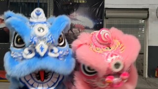 谁开车不听DJ逐渐离谱！小粉把小蓝也带入坑了，跟着节奏一起嗨起来……哈哈