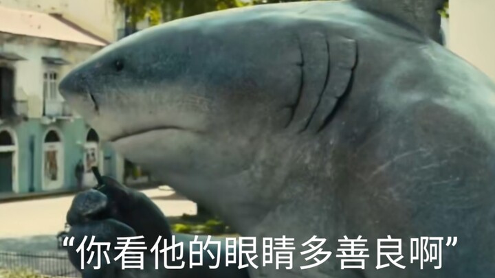 鲨鱼王出场合集（部分）【鲨鱼王】