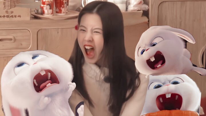 Bergabung dengan Gerbang Kelinci