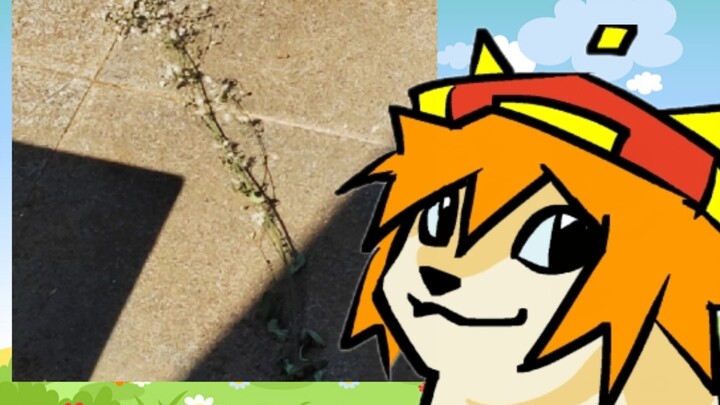 [Hongfeng/Live Slice] Hongfeng teaches you how to make animations. The conversation between Hongfeng