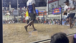 High Action Hatch 1st fight