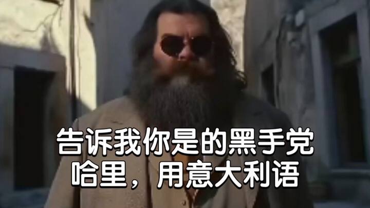 Tell me you’re a mobster, Harry— in Italian!