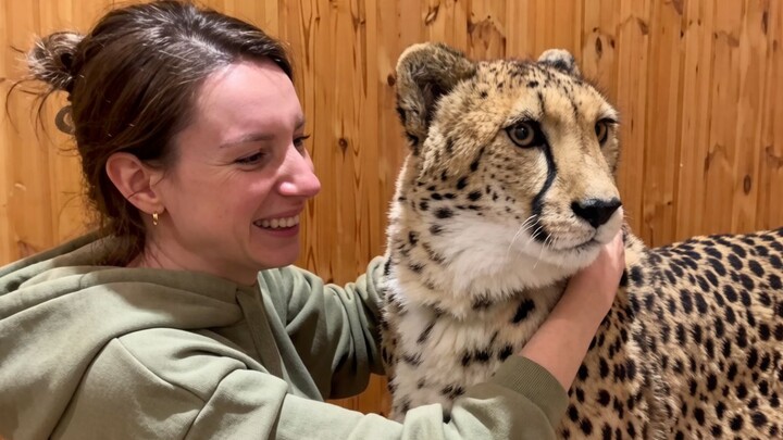 Cheetah: Even though you’re my mom, you still can’t pull my fur!