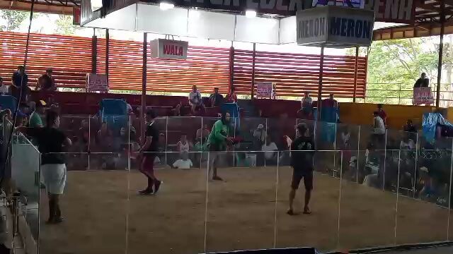 hatch grey ni wiggyboy lakas Ng palo