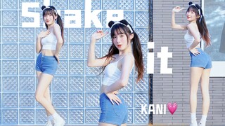 【KANI】Shake it❤夏日清凉限定返场🔈~~~