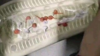 A little surprise for roommates