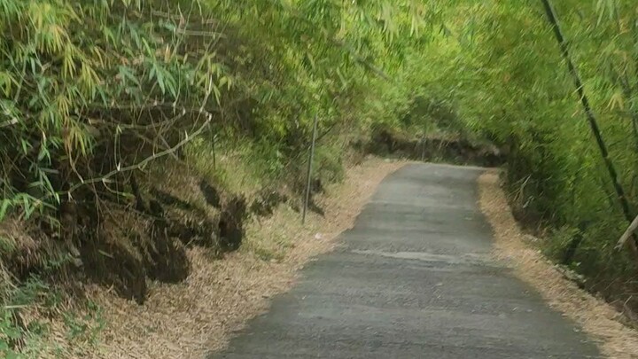 Stroll in talim island