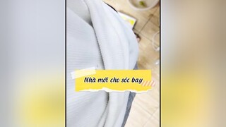 Cuộc tình đẹp chỉ hai trăm ka animals pet thucung yeudongvat socbayuc socbay ocmuonhonthanhxuan dcgr foryou fyp xuhuong sugerglider